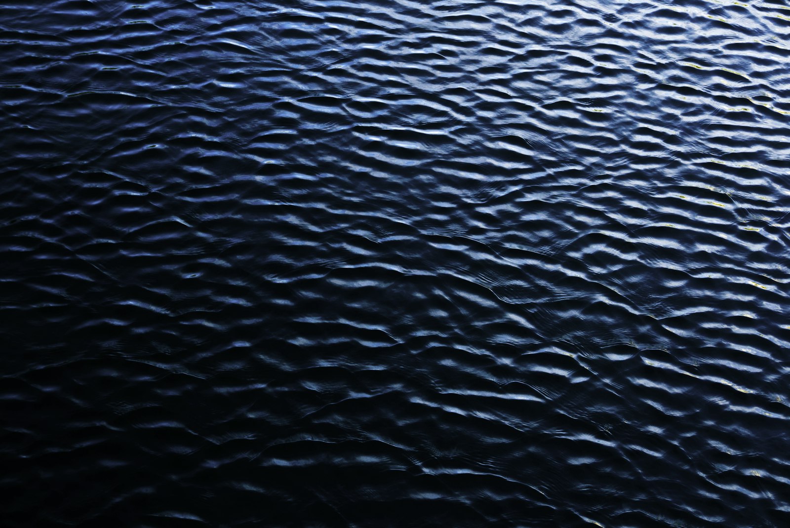 Reflets de lumière sur l’eau